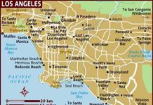 LA Council Committee Eyes Regulating Food Trucks