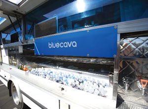 BlueCava_t620