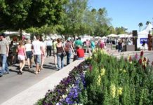 Food Truck Feast At Scottsdale Arts Festival
