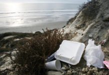Styrofoam Dishware Ban Considered In California