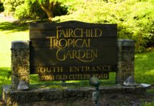 Miami: Free Admission, Food Trucks at Fairchild Tropical Garden; Truck Tracker for the Weekend