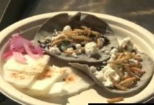 SF: Don Bugito Launches Edible Insect Food Cart (VIDEO)