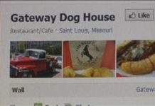 St. Louis, MO: Papa Tom’s Gateway Dog House Owner Turns to Social Media to Track Down Thief