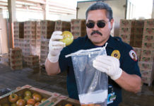 The Evolution of Food Safety