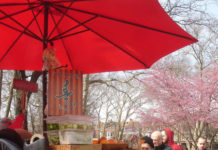 Philadelphia, PA: V For Vegv – 2012: Philly’s Year of the Vegetarian
