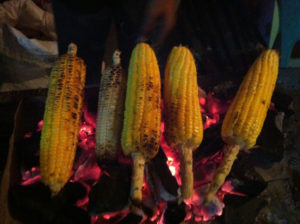 PH-corn