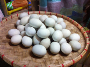 Balot 