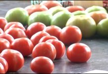 Louisville, KY: Local Business is Going Mobile to Serve Farm Fresh Food