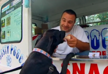 National News: Doggie Food Truck Trend Refuses to Die
