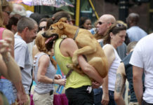 Raleigh, NC: Raleigh Food Truck Rodeo Corrals Hungry Crowd