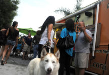 Hollywood, FL: Hollywood May Expand Popular Food Truck Gathering
