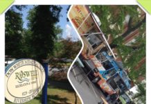 Roswell, GA: Food Trucks Coming to Roswell on Weekends
