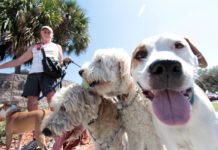 Gainesville, FL: Food Truck Rally Now Offers Options for Pets to Dine Alongside Owners