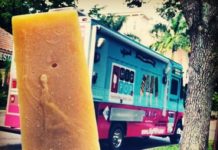Hollywood, FL: HipPOPs Handcrafted Gelato Bars- Food Truck Interview