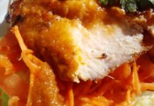 New York, NY: Street Eats – Nasha Salmon Salad from Shangri-La Express