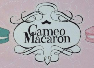 Boston, MA: The French-Inspired Cameo Macaron Will Be Boston’s Next 4-Wheeled Food Stop