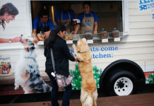 San Francisco, CA: We’ve Reached Peak Food Truck – Dogs Can Now Visit a ‘Treat Truck’