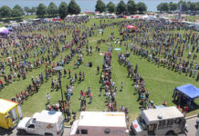 Chippewa County, WI: Chippewa Falls City Council Imposes Food Truck Moratorium