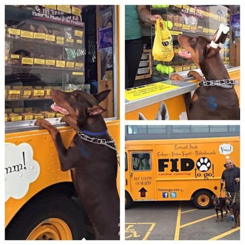 IL-Chicago-FidoToGo-2