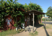 Austin, TX: Patrizi’s Owners to Open New Food Truck at Scoot Inn