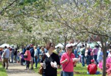 Macon, GA: Festivalgoers brave hour-long line for food-truck lobster