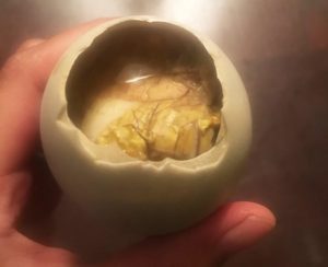 Eating this will make you an honorary Filipino; open wide. IMAGE: JUSTINE HERNANDEZ