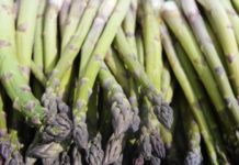Pasco, WA: Asparagus celebration coming to close at Food Truck Friday