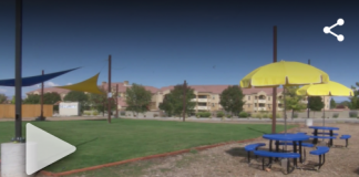 Albuquerque, NM: Albuquerque food truck park helping local Asian, women-owned businesses